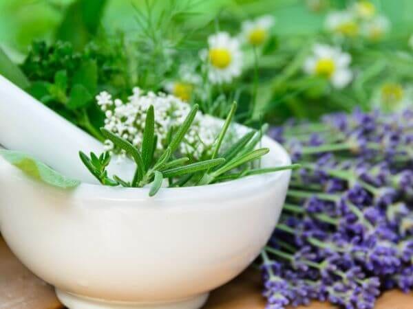 Diverse erbe per creare prodotti erboristici