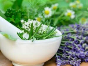 Diverse erbe per creare prodotti erboristici